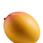 Mangga Reguler